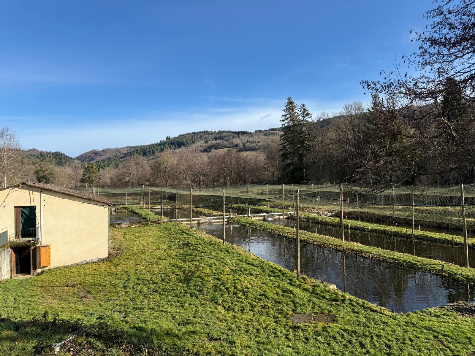 Bassin de truites
